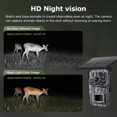 4G Trail Camera with GPS | Solar-Powered 2K/QHD Security