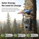 4G Trail Camera with GPS | Solar-Powered 2K/QHD Security