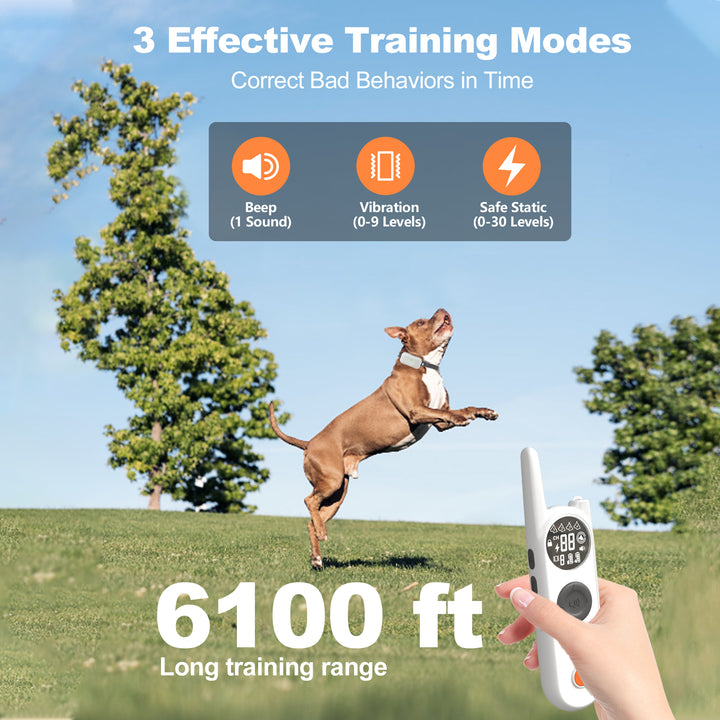 Houndware BoundWise Pro - 2-in-1 Wireless Dog Fence & Training Kit