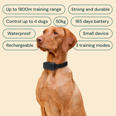 Houndware BoundWise Pro - 2-in-1 Wireless Dog Fence & Training Kit