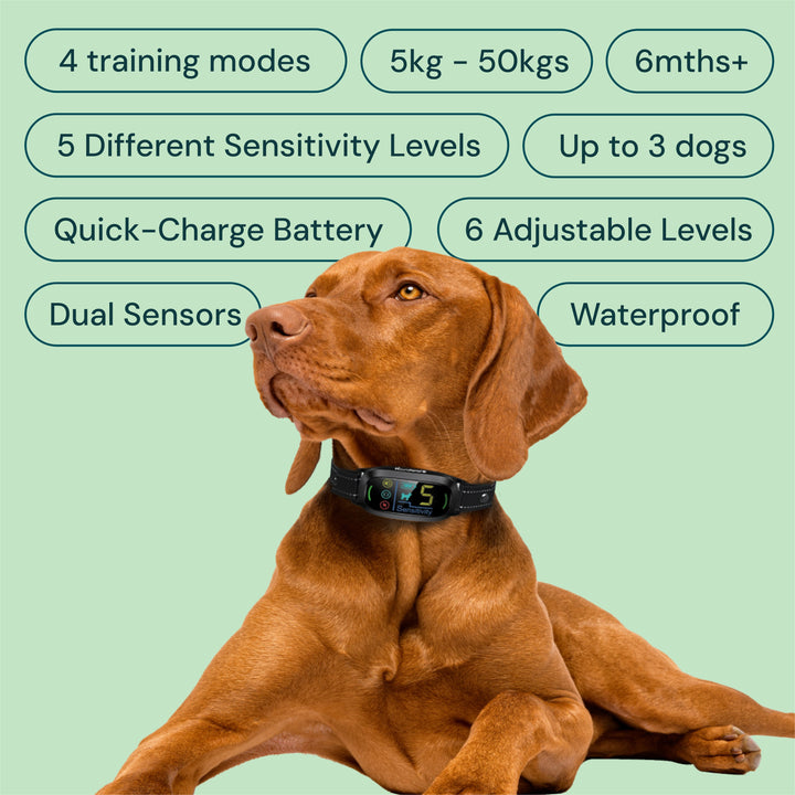 features of the Anti-Bark Collar, including multiple correction modes and sensitivity settings for customized bark control