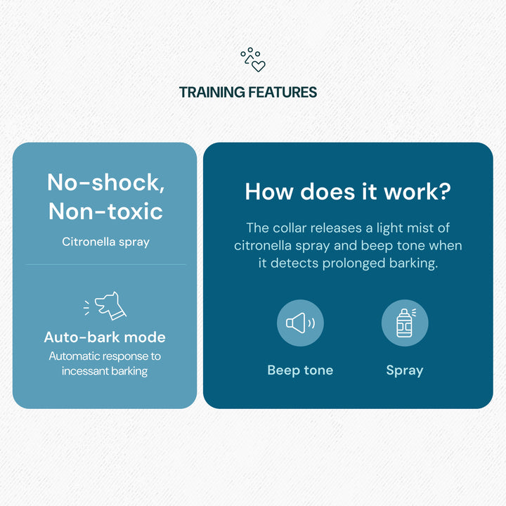 Rechargeable Citronella Spray Collar product features and how it works in auto bark mode