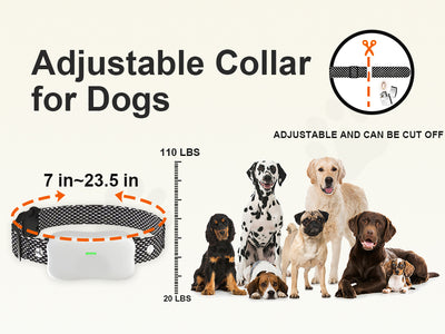 Houndware BoundWise Pro - 2-in-1 Wireless Dog Fence & Training Kit