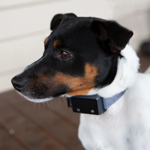 Houndware Multi-Functional Anti-Bark Collar