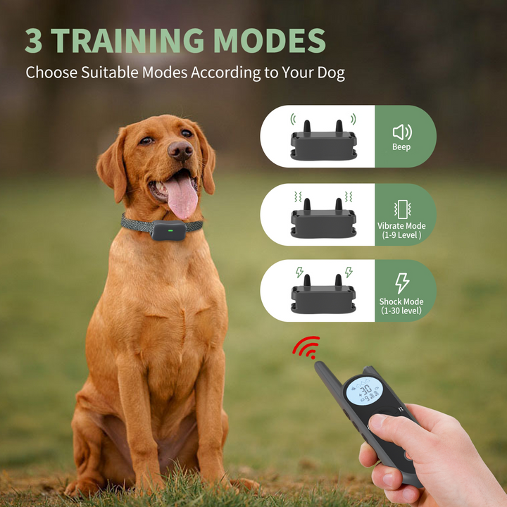 Houndware BoundWise Pro - 2-in-1 Wireless Dog Fence & Training Kit