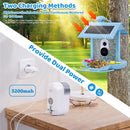 Solar Smart Bird Feeder with Live Camera and Night Vision
