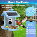 Solar Smart Bird Feeder Outdoor Spy Camera with Night Vision