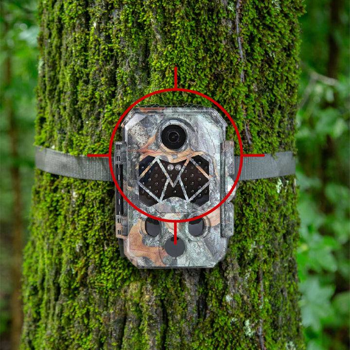 4K Black Flash Trail Camera For Wildlife Monitoring strapped on tree trunk with moss, camouflaged 