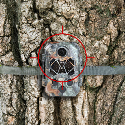 4K Black Flash Trail Camera For Wildlife Monitoring strapped on tree trunk camouflaged