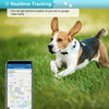 4G GPS Pet Tracker