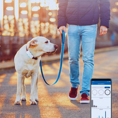 4G GPS Pet Tracker