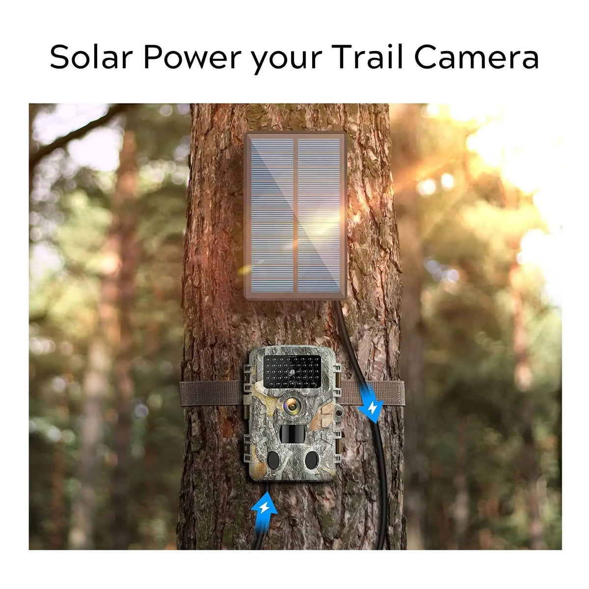 Solar Power Bank for Outdoor Trail Cameras The Spy Store