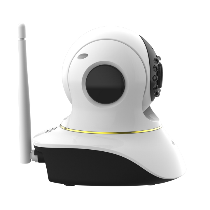 Pet camera with sales laser